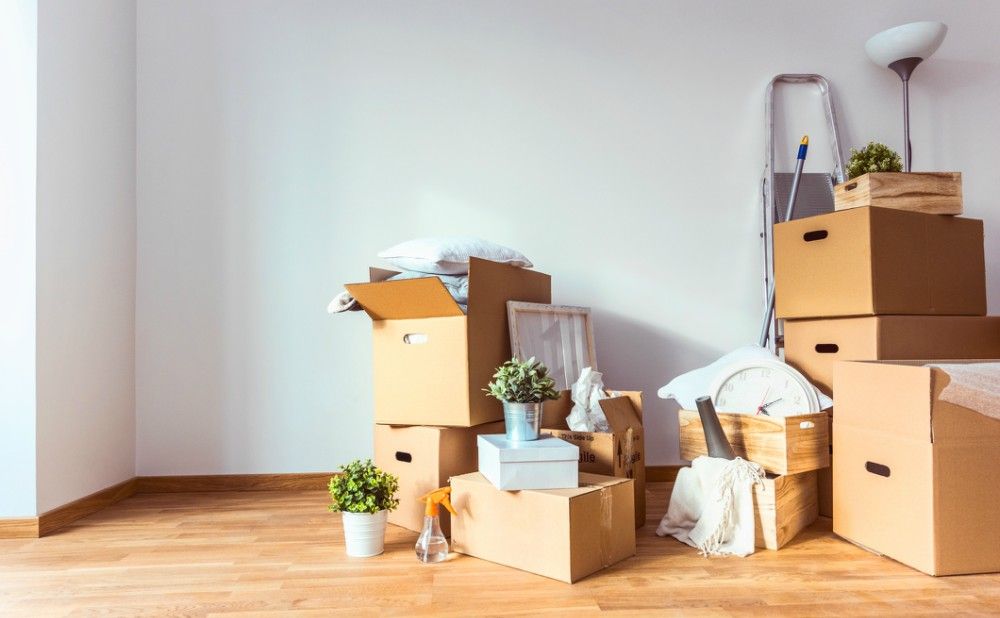 Move-In / Move-Out